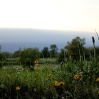 Hay que pararse a pensar