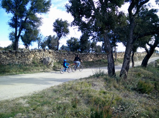 Bicicletes per la pirinexus