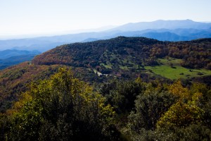 Puig Prunès - Fageda del Mas Nou -Coll del Portell
