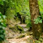 Propòsits per l’any nou