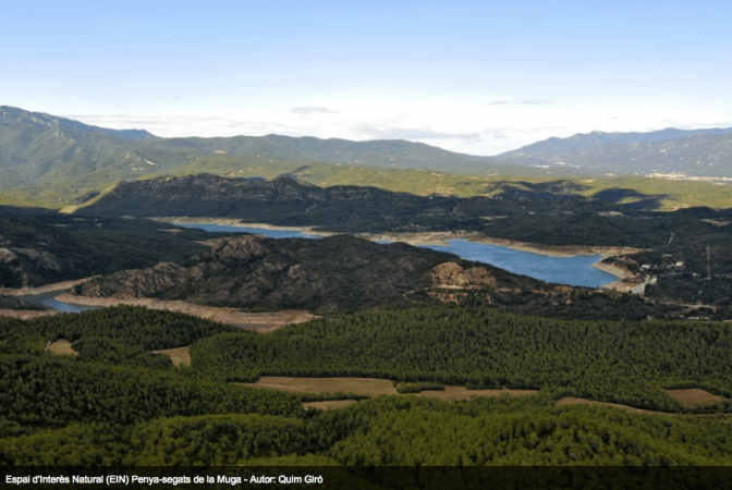 captura-de-pantalla-2017-01-19-a-las-11-33-19